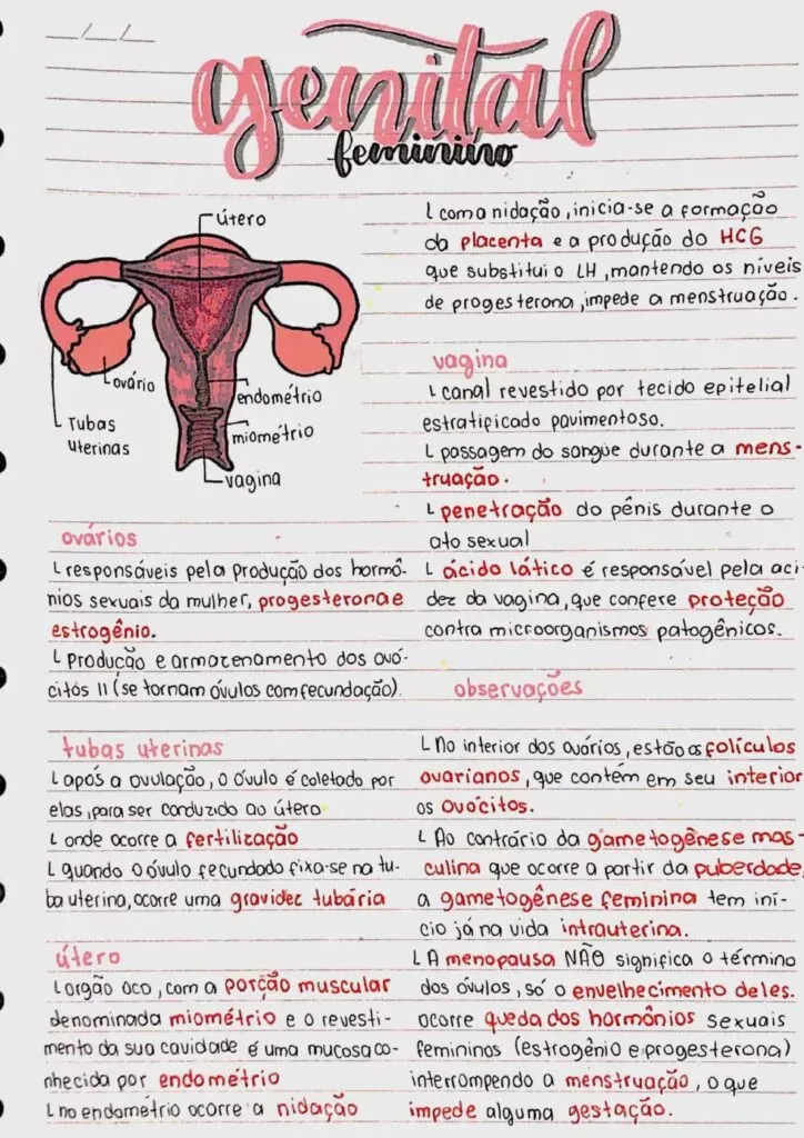 Amostra de resumo 10